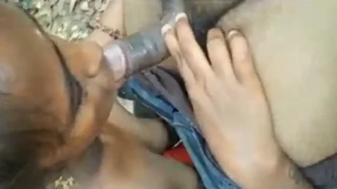 Tube Videos